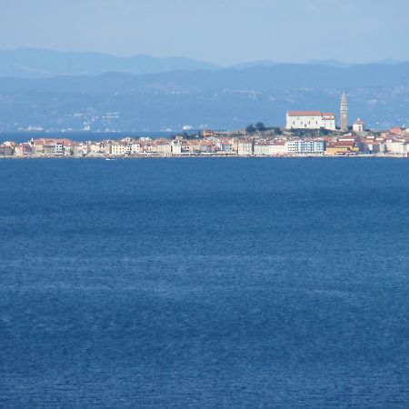 Apartments Salvore Crveni Vrh Luaran gambar