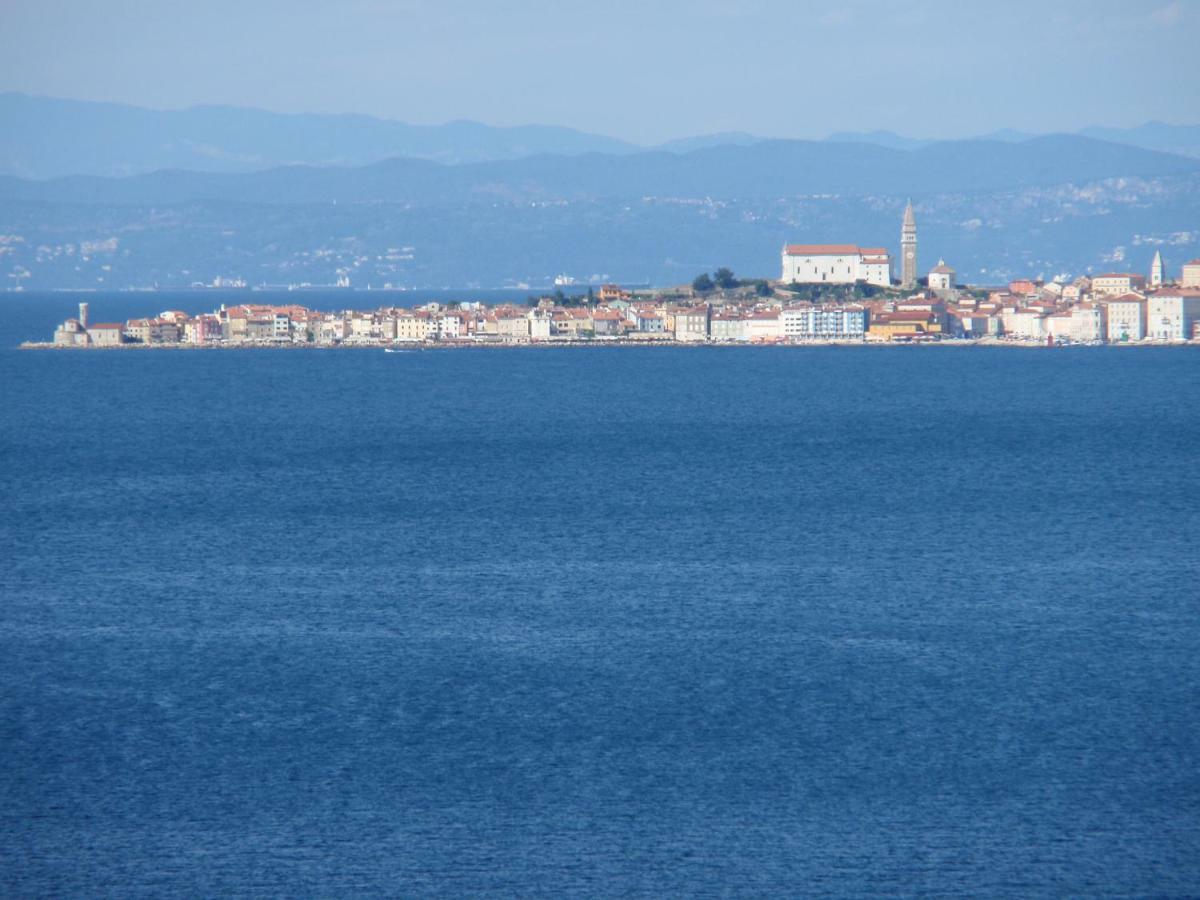 Apartments Salvore Crveni Vrh Luaran gambar